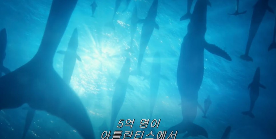 아쿠아맨과 로스트 킹덤 정보 출연진 아쿠아맨2 앰버 허드 메라