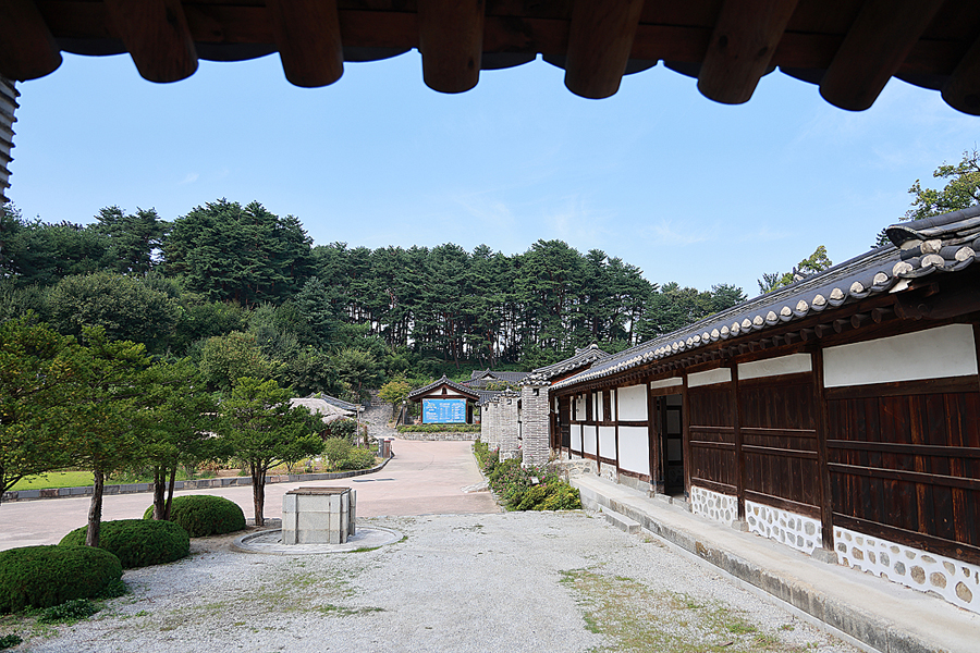 9월 국내 여행지 강릉 선교장 관광지 9월 여행 배롱꽃 명소