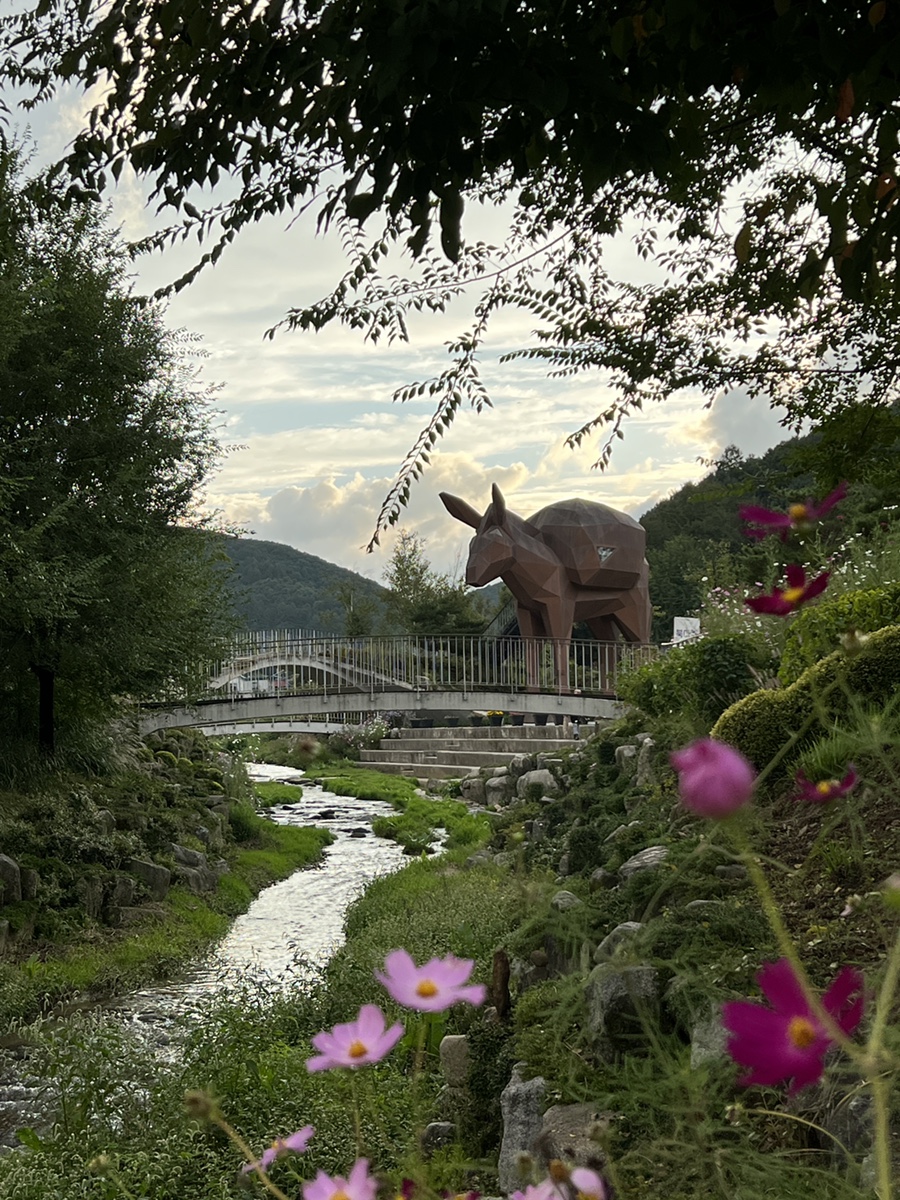 강원도 평창가볼만한곳 효석문화제, 평창 메밀꽃밭, 평창 막국수, 한화리조트 평창 여행