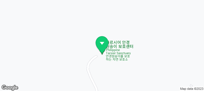 보홀 육상투어: 안경원숭이, 로복강, 보홀 초콜릿힐 투어!