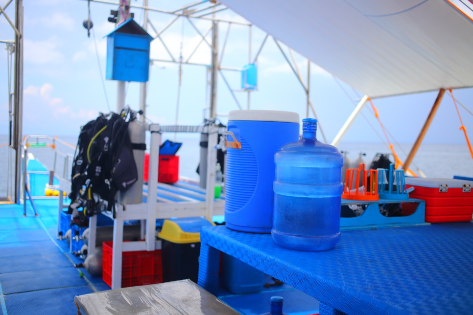 보홀 스쿠버다이빙 온다이브 체험다이빙 후기