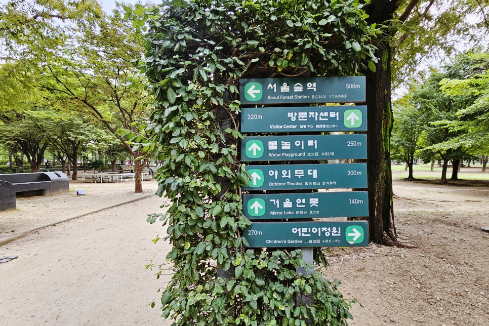 성수동 가볼만한곳 서울 여행 서울숲 산책 코스
