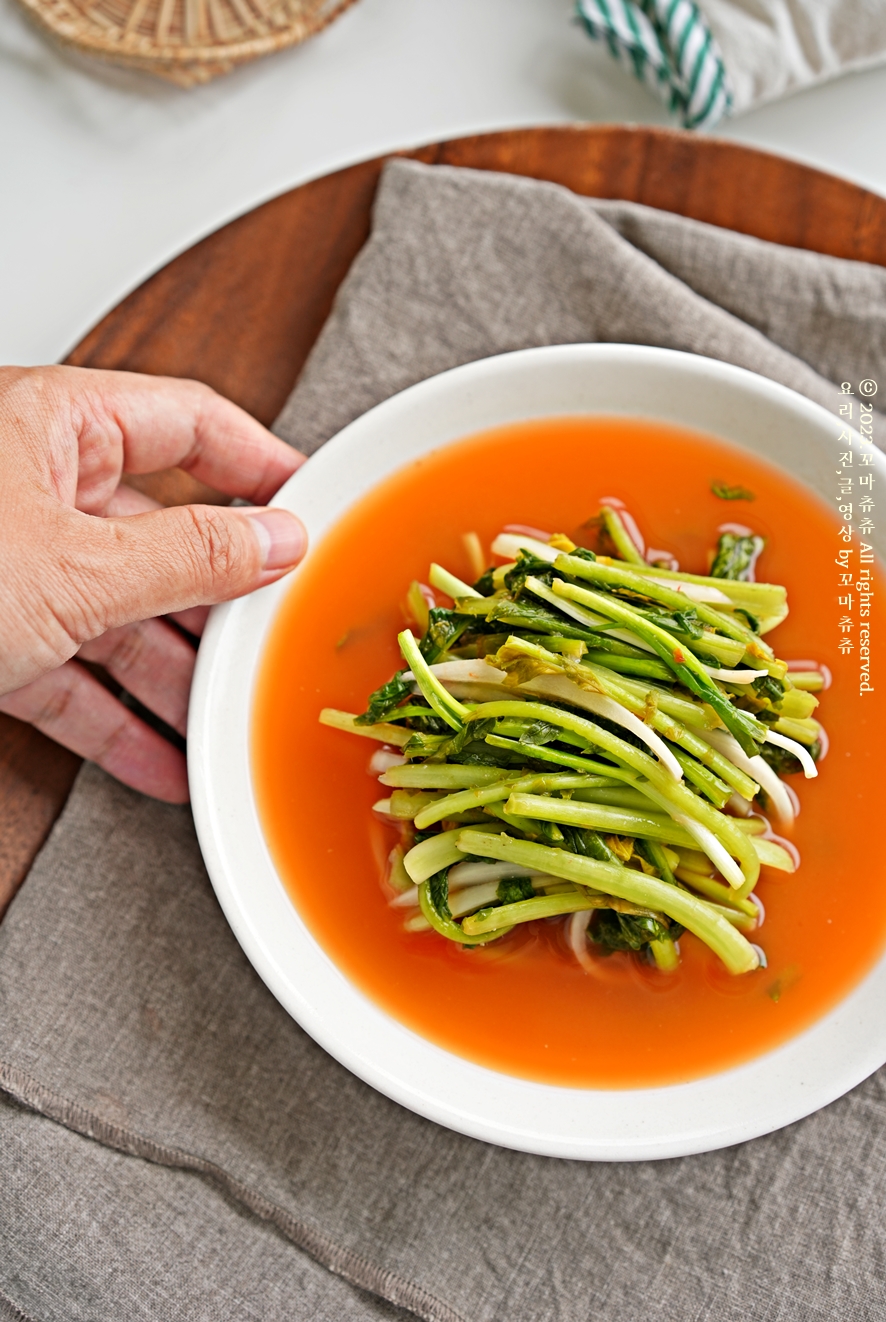 열무물김치 열무김치 만드는 법 열무물김치 열무김치 담그는법 맛있는 열무요리