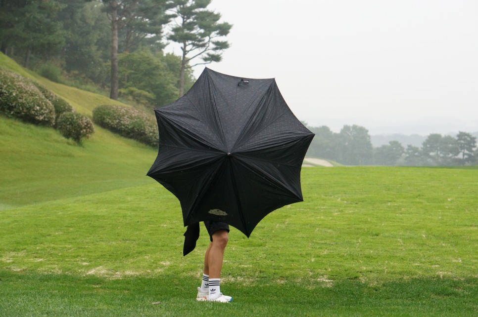 홀인원 기념품으로 선물 받은 골프 우산