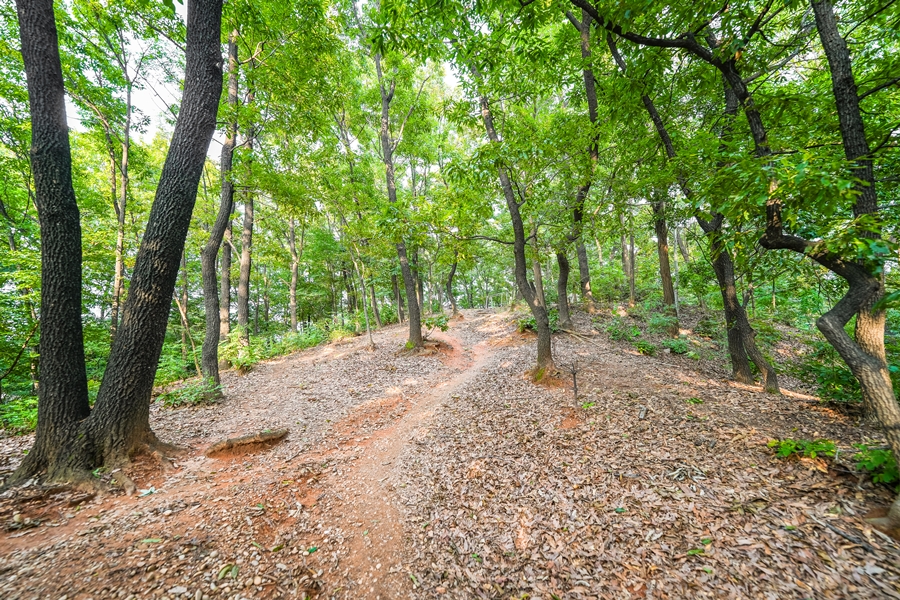 소니 A7M4 풀프레임 미러리스 카메라 4K 60p, 광각렌즈 FE 14mm F1.8 GM 후기