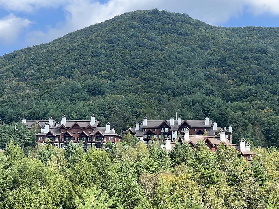 해피 추석 보내세요 in 용평리조트 빌라콘도