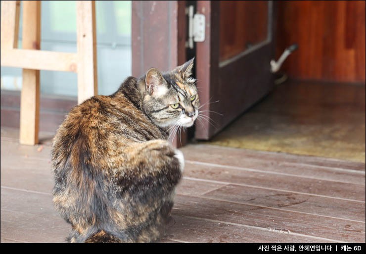 강릉 카페 강릉 데이트코스 밀크티 핸드드립 커피 추천 강릉커피명주가