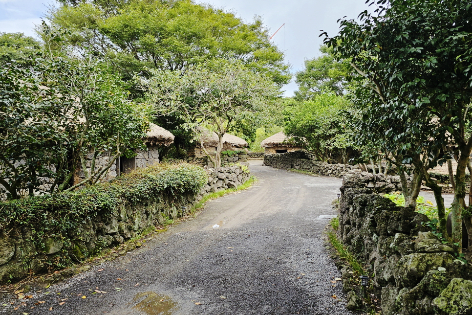 10월 제주도 여행지 추천 제주 표선 가볼만한곳 제주민속촌 입장료