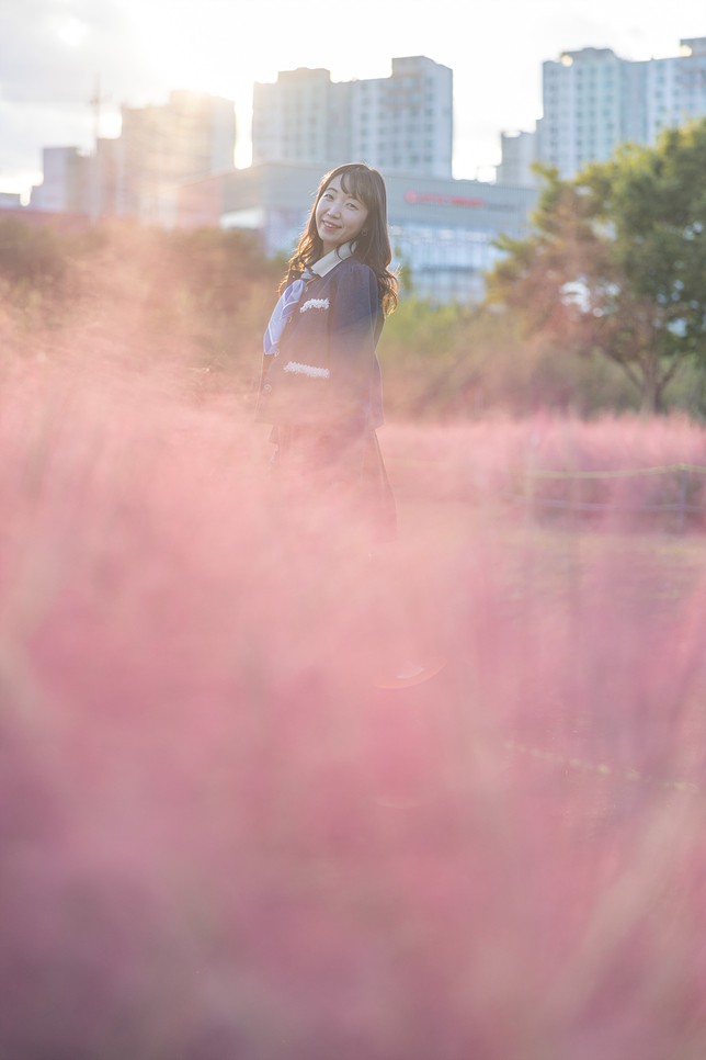 경기도 핑크뮬리 명소 서울근교 데이트 하남미사경정공원 나들이 가을 꽃구경