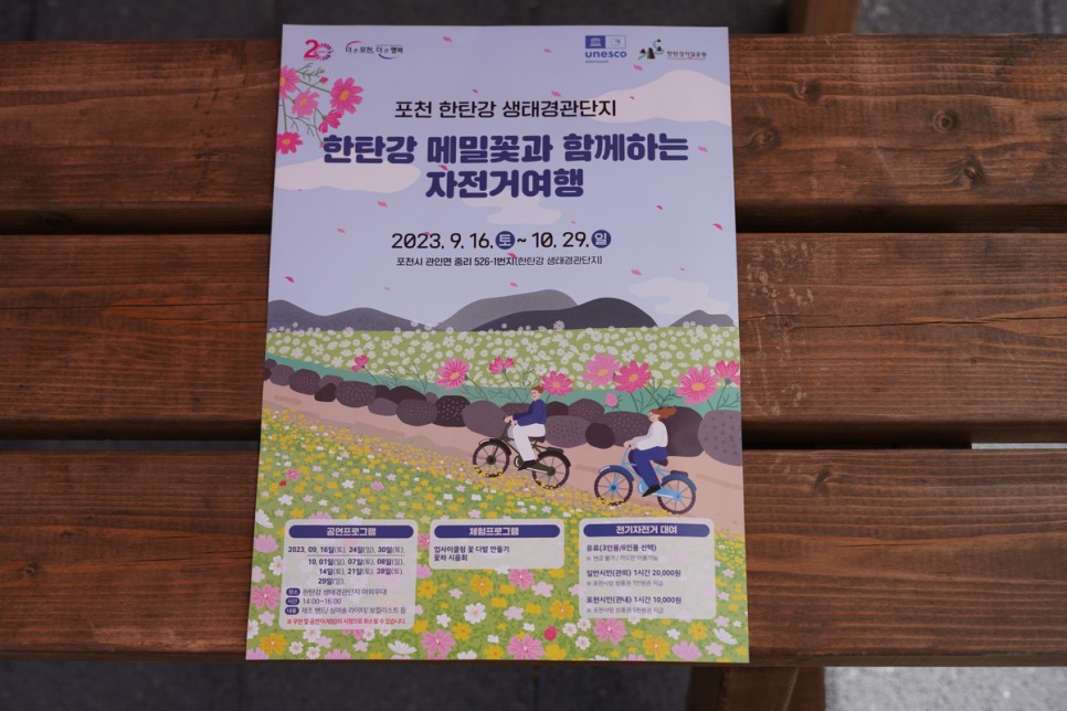 가을 여행지 추천 서울근교 여행 포천 한탄강 메밀꽃 자전거 여행