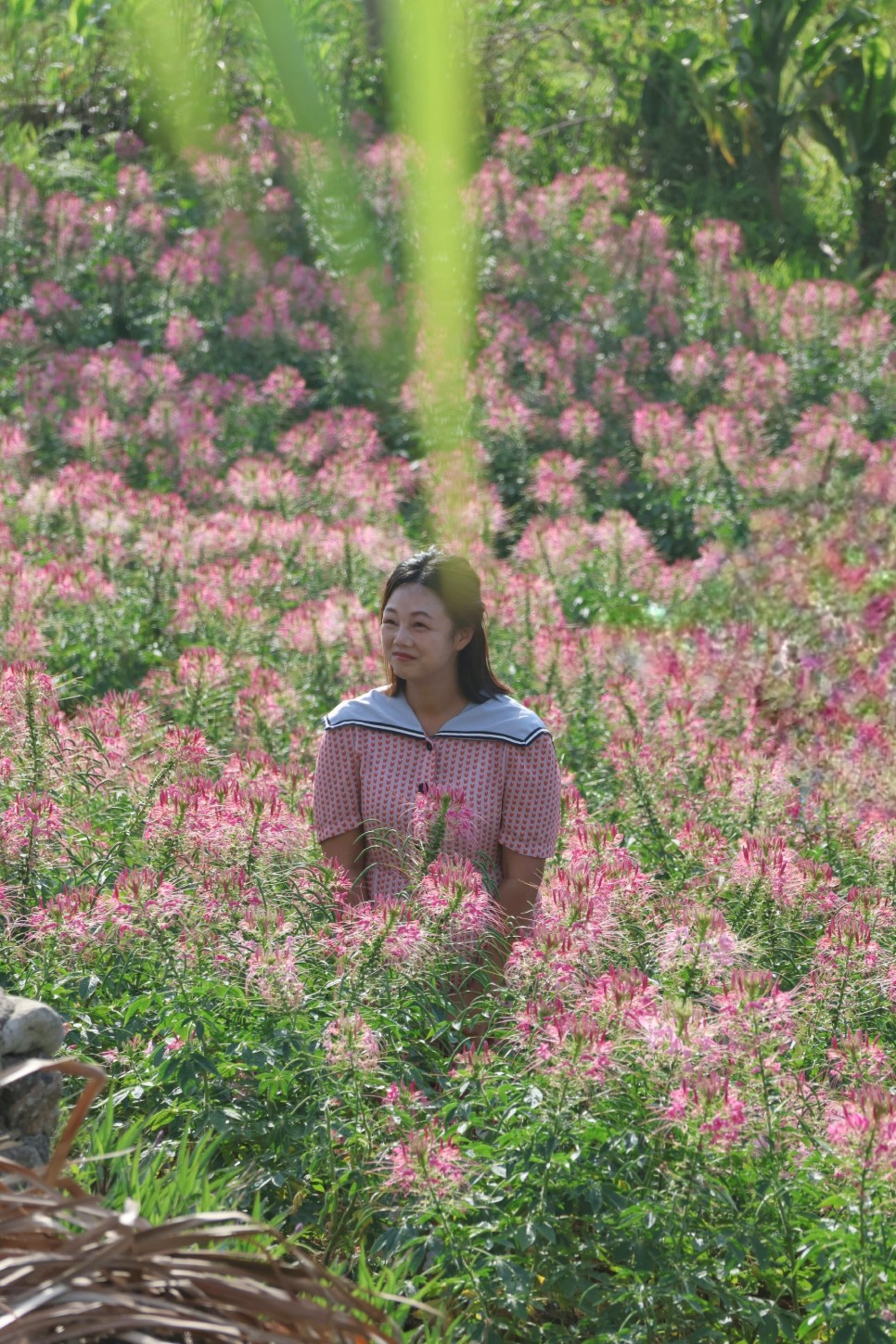 필리핀 세부 가볼만한곳 여행 남녀노소 호불호없는 스팟 정리