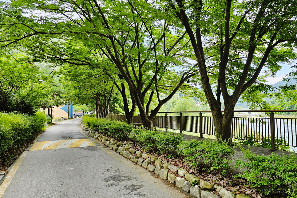 당일치기 여행 전주 가볼만한곳 전주 데이트 코스