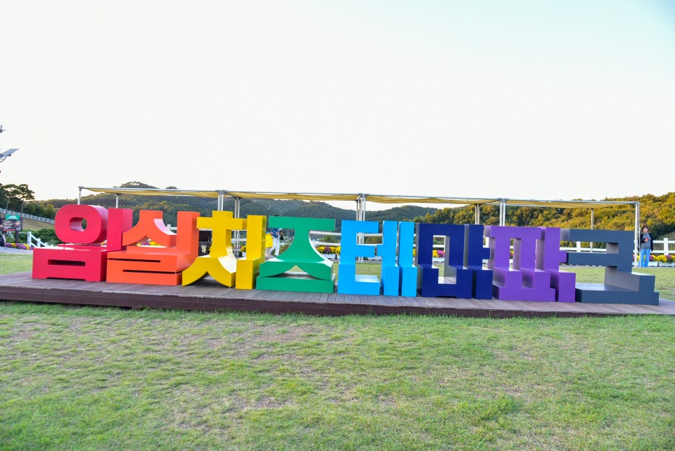 전북 가볼만한곳 임실치즈테마파크 임실치즈축제 국화 풍경
