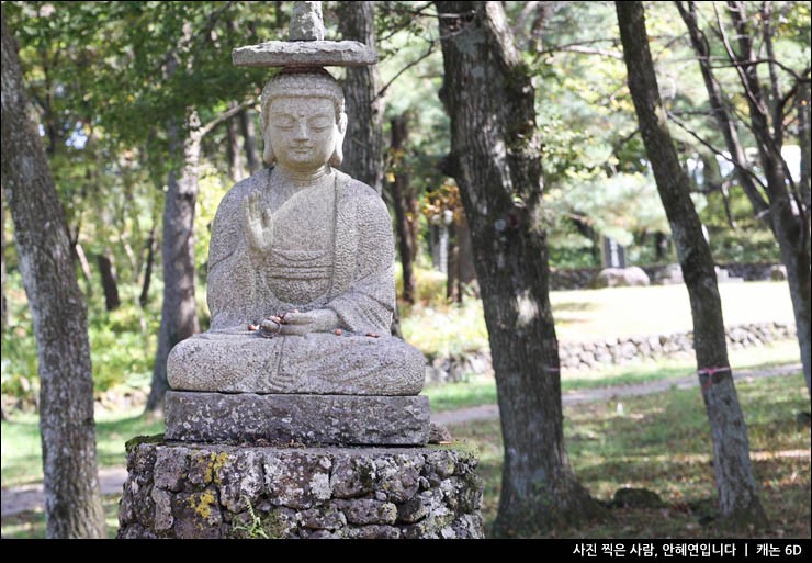 제주공항근처 가볼만한곳 볼거리 제주 용두암 삼성혈 관음사 등