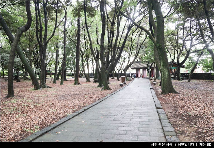 제주공항근처 가볼만한곳 볼거리 제주 용두암 삼성혈 관음사 등