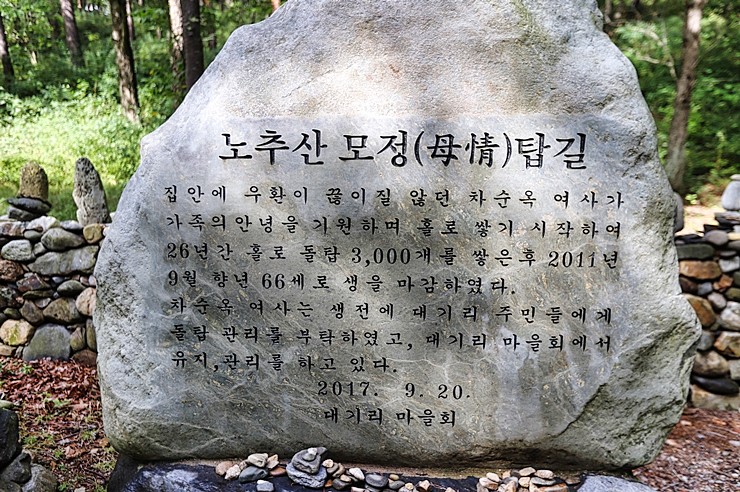 강원도 자연휴양림 노추산 모정탑길 트레킹코스 (캠핑) 가을여행지 강릉 여행코스
