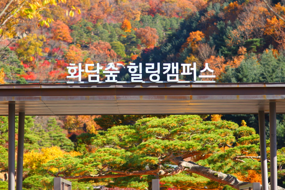 경기도 광주 곤지암 화담숲 모노레일 예약 방법 : 2023년 단풍 시기