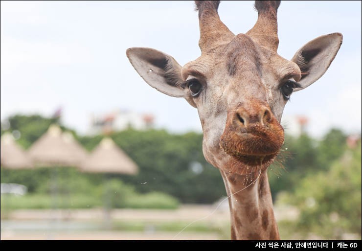 태국 방콕여행 일정 추천 방콕 인기 투어 리스트