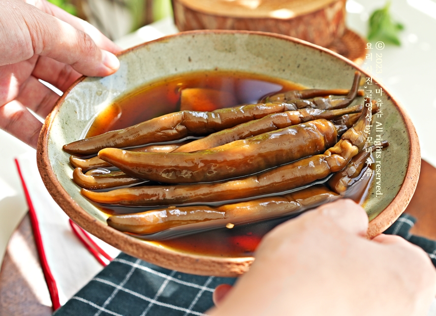 간장 고추장아찌 담그는법 만들기 청양고추 장아찌 만드는 법 청양고추요리 고추간장장아찌