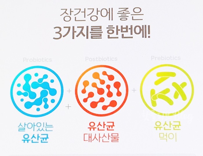 대용량 덴마크 드링킹 요구르트 포스트 바이오틱스로 장건강 챙기기
