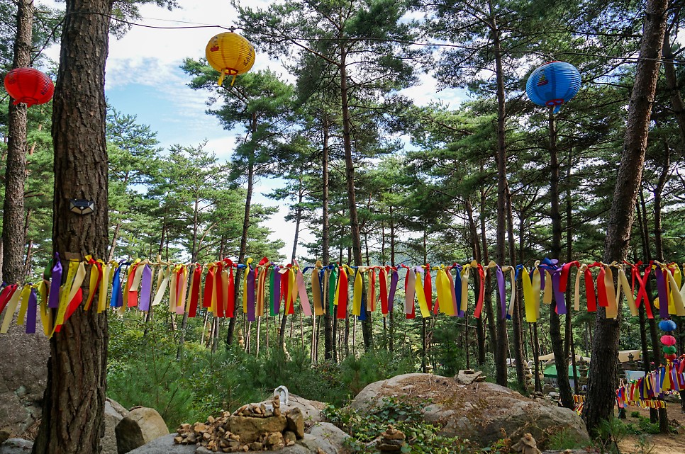 경남 가볼만한곳 합천 핑크뮬리 등 1박 2일 여행코스 6곳