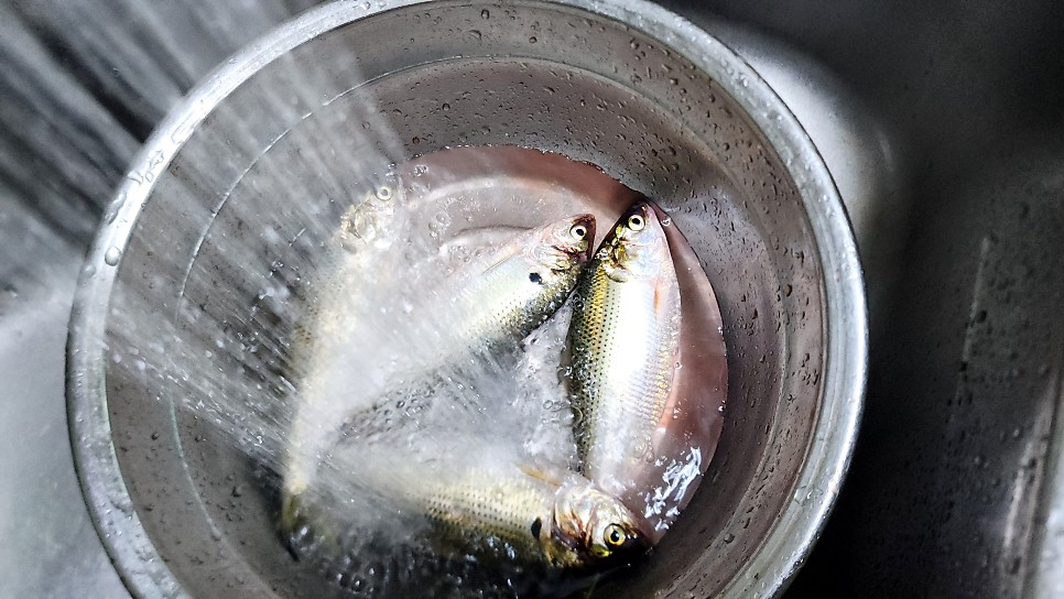 전어무침 전어구이 가을제철음식 전어회무침 전어요리 에어프라이어 생선구이