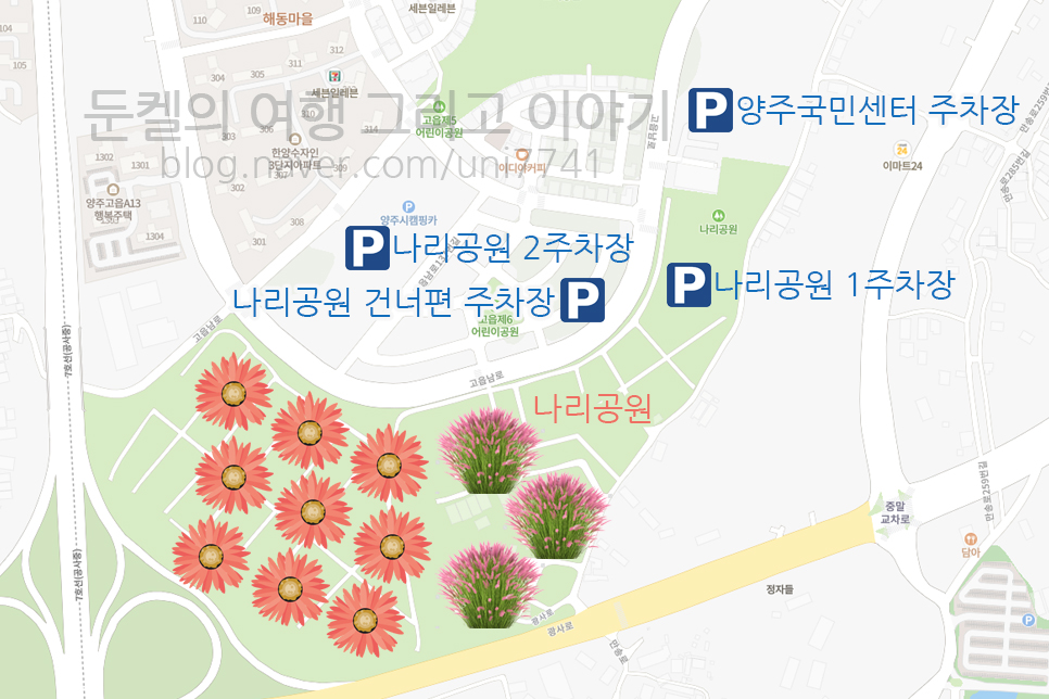 경기도 양주 나리공원 천일홍 축제 예약 입장료 : 나리농원 주차