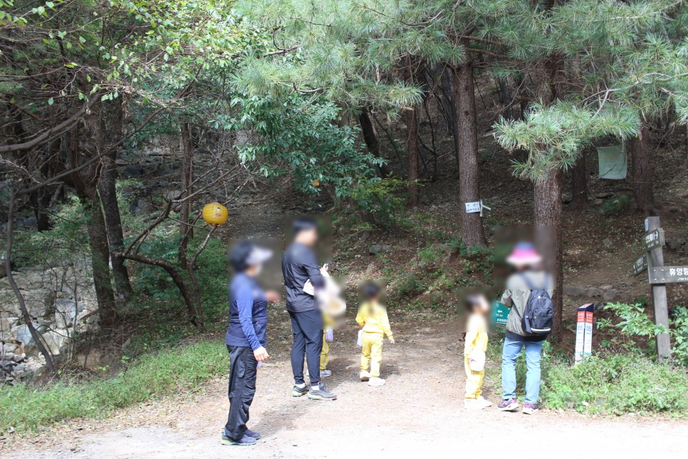 보령 오서산 억새 최단 등산코스 보령 가볼만한곳