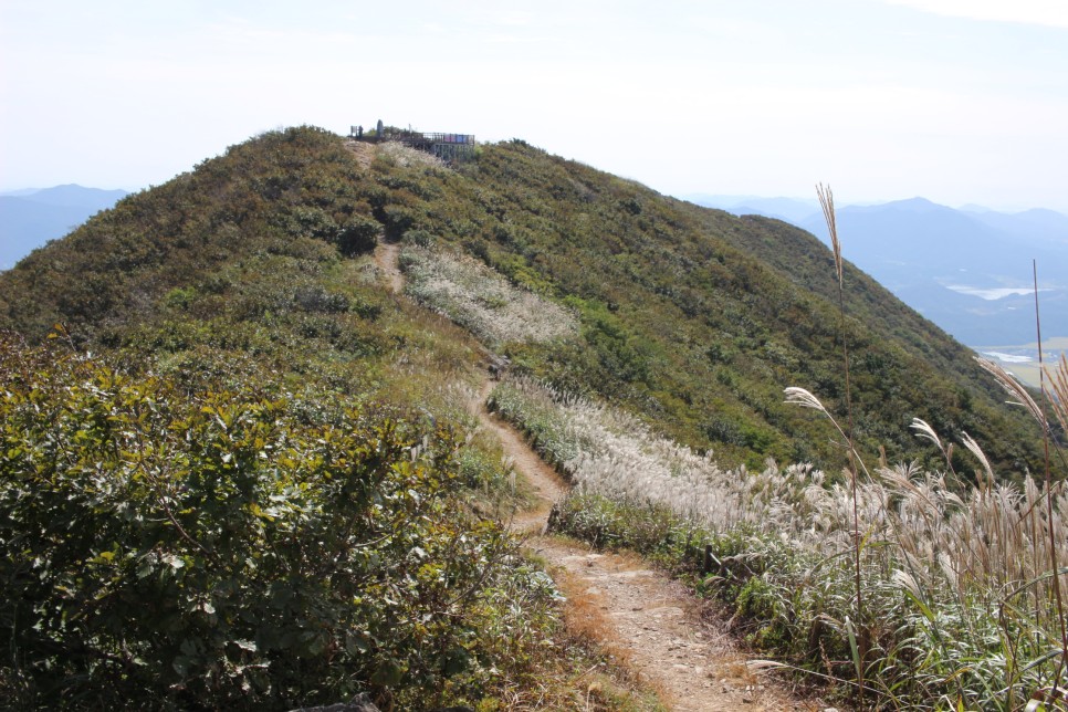 보령 오서산 억새 최단 등산코스 보령 가볼만한곳