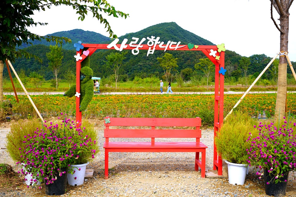 서울근교 여행 포천 가볼만한곳 가을여행 추천 한탄강 관광지
