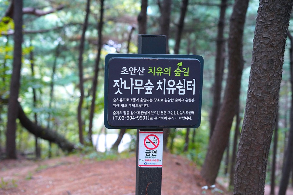 서울산 추천 초안산 캠핑장 근린공원 산책로 서울 산책하기 좋은곳