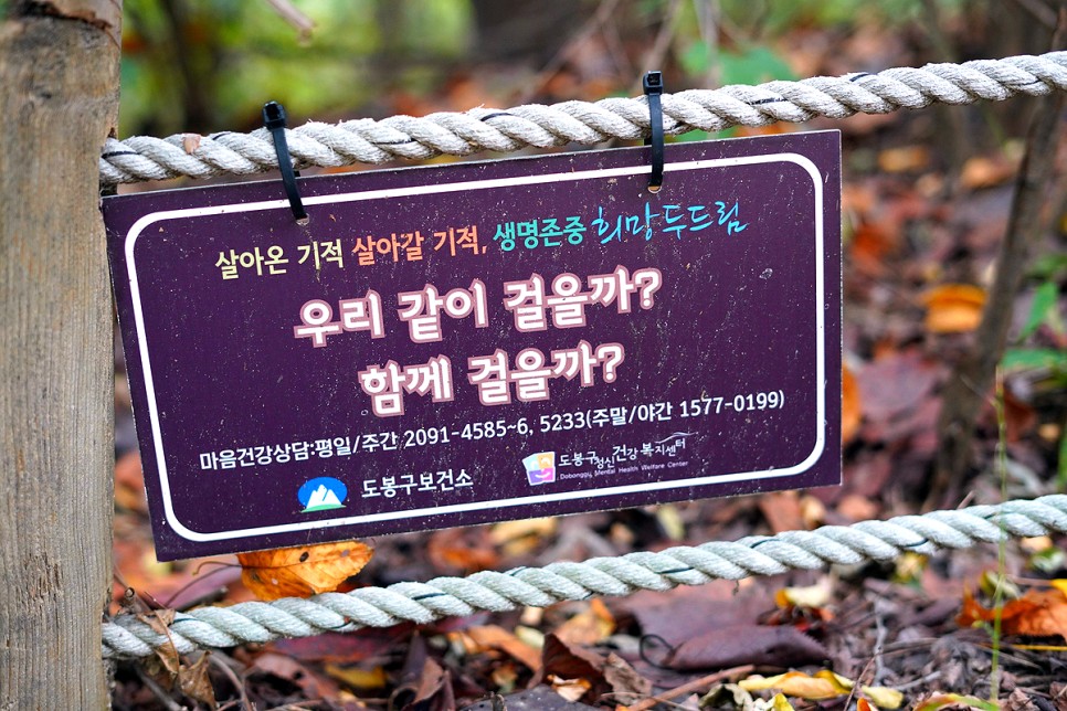 서울산 추천 초안산 캠핑장 근린공원 산책로 서울 산책하기 좋은곳