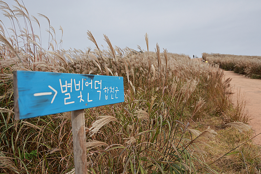 합천 황매산 억새 축제 등산코스 황매산 군립공원 BTS RM 촬영지 별빛언덕 10월에 합천 가볼만한곳