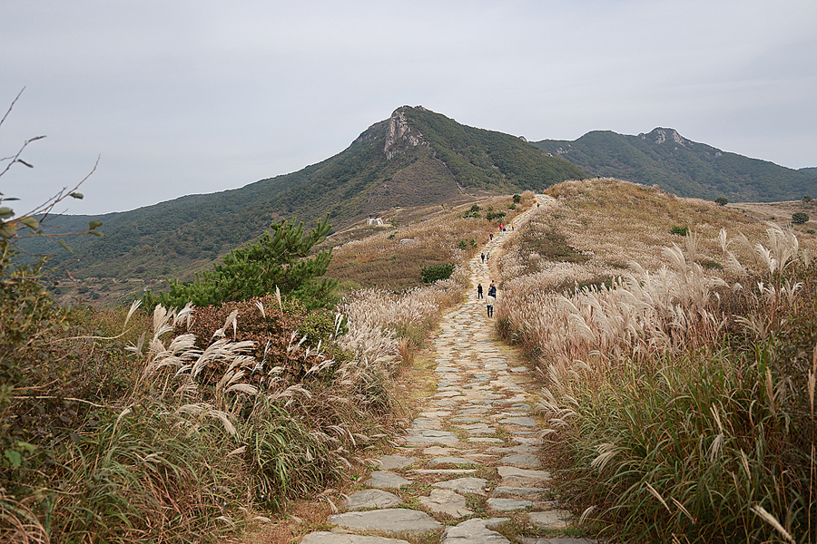 합천 황매산 억새 축제 등산코스 황매산 군립공원 BTS RM 촬영지 별빛언덕 10월에 합천 가볼만한곳