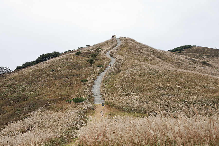 합천 황매산 억새 축제 등산코스 황매산 군립공원 BTS RM 촬영지 별빛언덕 10월에 합천 가볼만한곳