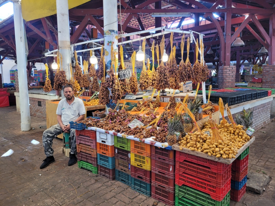 아프리카 튀니지 여행 中 날씨 환율 일정 음식 물가