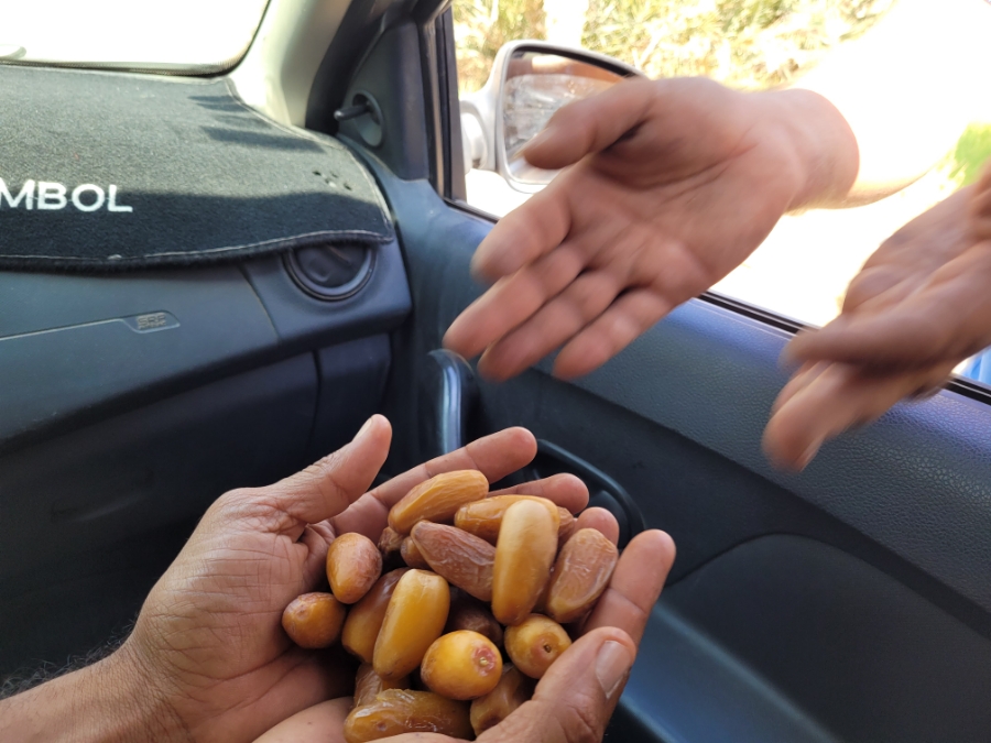아프리카 튀니지 여행 中 날씨 환율 일정 음식 물가