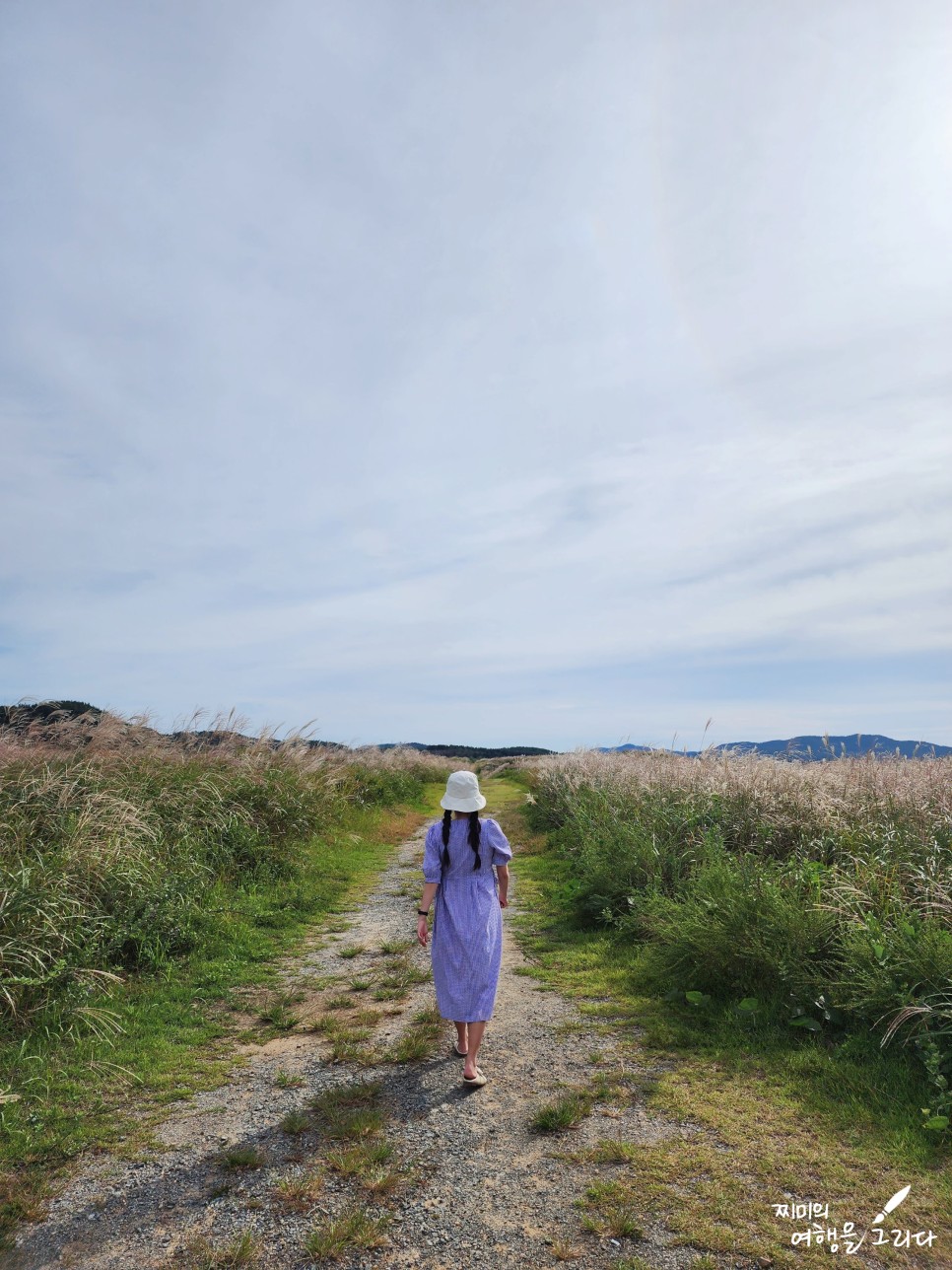 태안 신두리 해안사구 해수욕장 사막 볼거리 둘레길