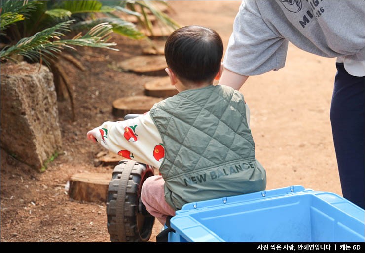 10월 아이와 제주도여행 서귀포 카페 추천 제주도 감귤체험 가능