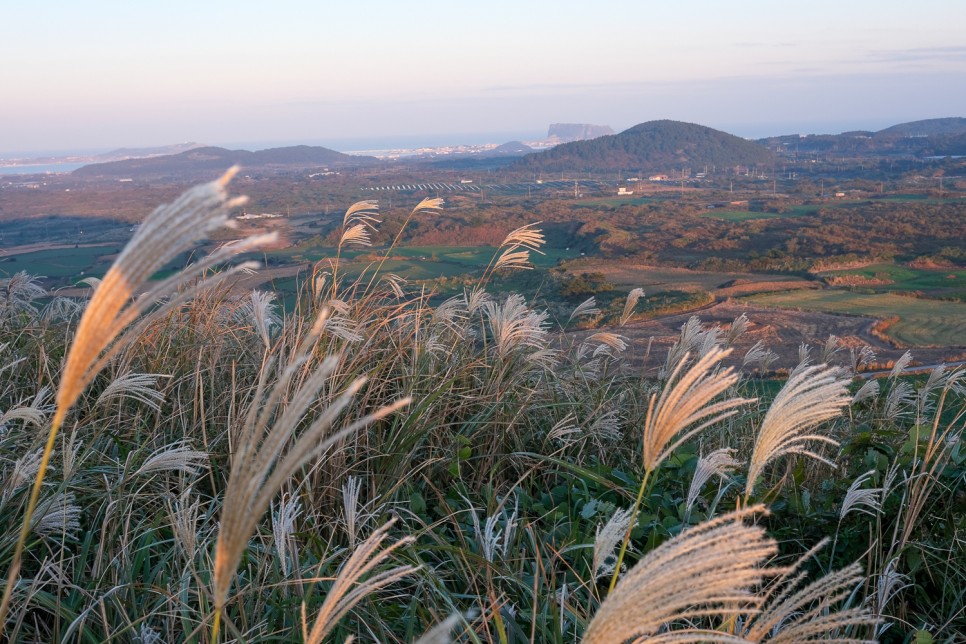 10월 제주도 가볼만한곳 제주 가을여행