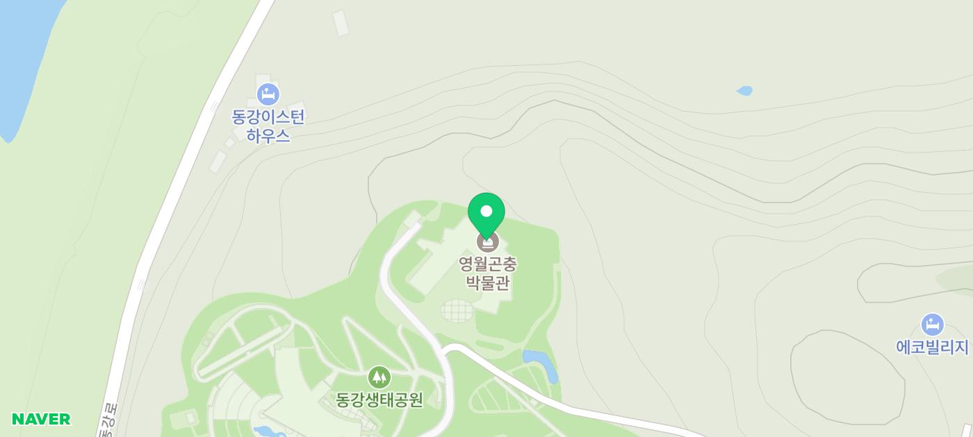 아이와 가볼만한곳 영월 여행 관광지 영월곤충박물관