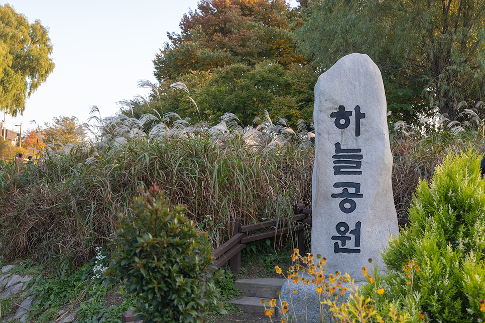 가을 서울 상암 하늘공원 억새축제 서울 일몰 주차, 맹꽁이 열차