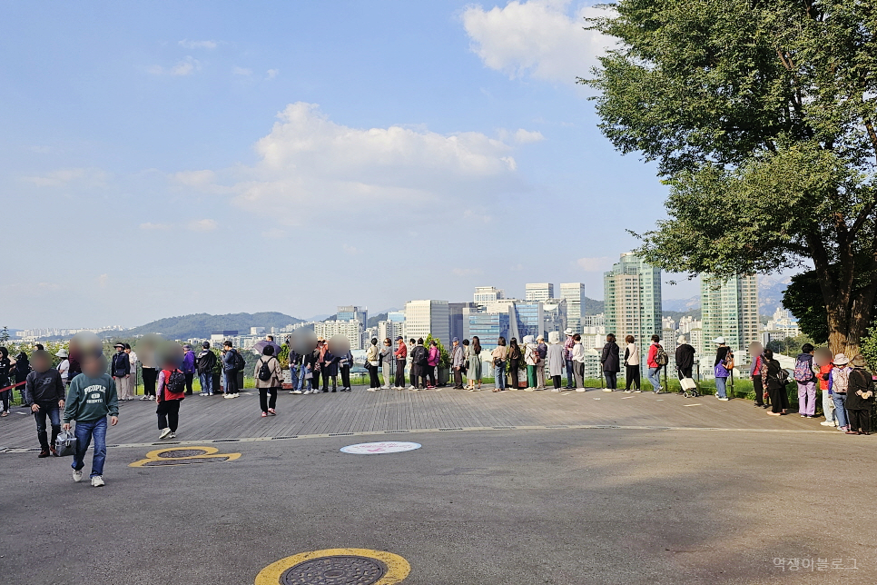 서울 상암 하늘공원 억새축제 서울 가을 나들이