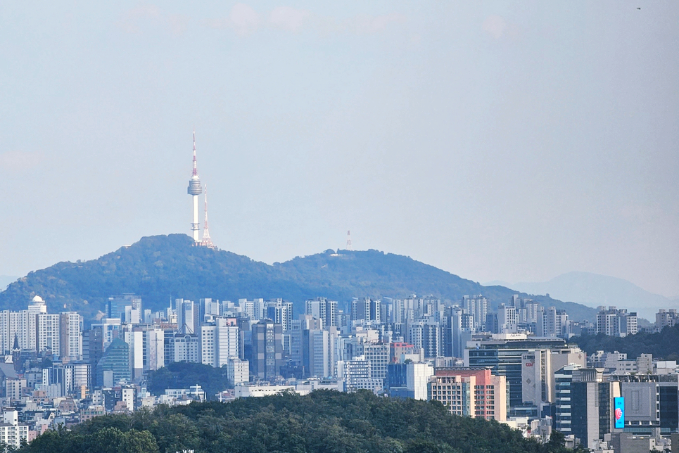 서울 상암 하늘공원 억새축제 서울 가을 나들이