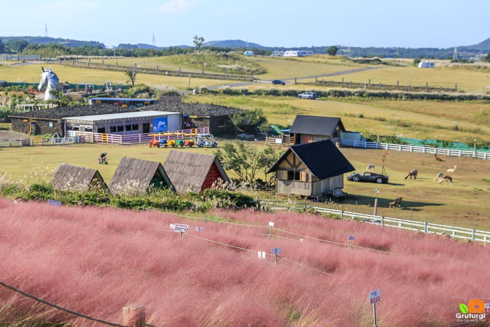 제주 애월 카페 제주도 서쪽 코스 핑크뮬리 예쁜 카페