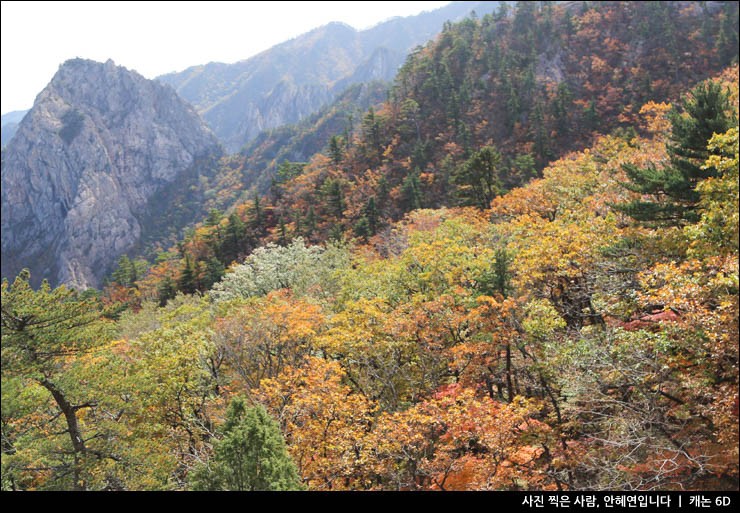 단풍 여행 가을 단풍 명소 구경 시기 절정 속초 설악산 케이블카 권금성 국립공원