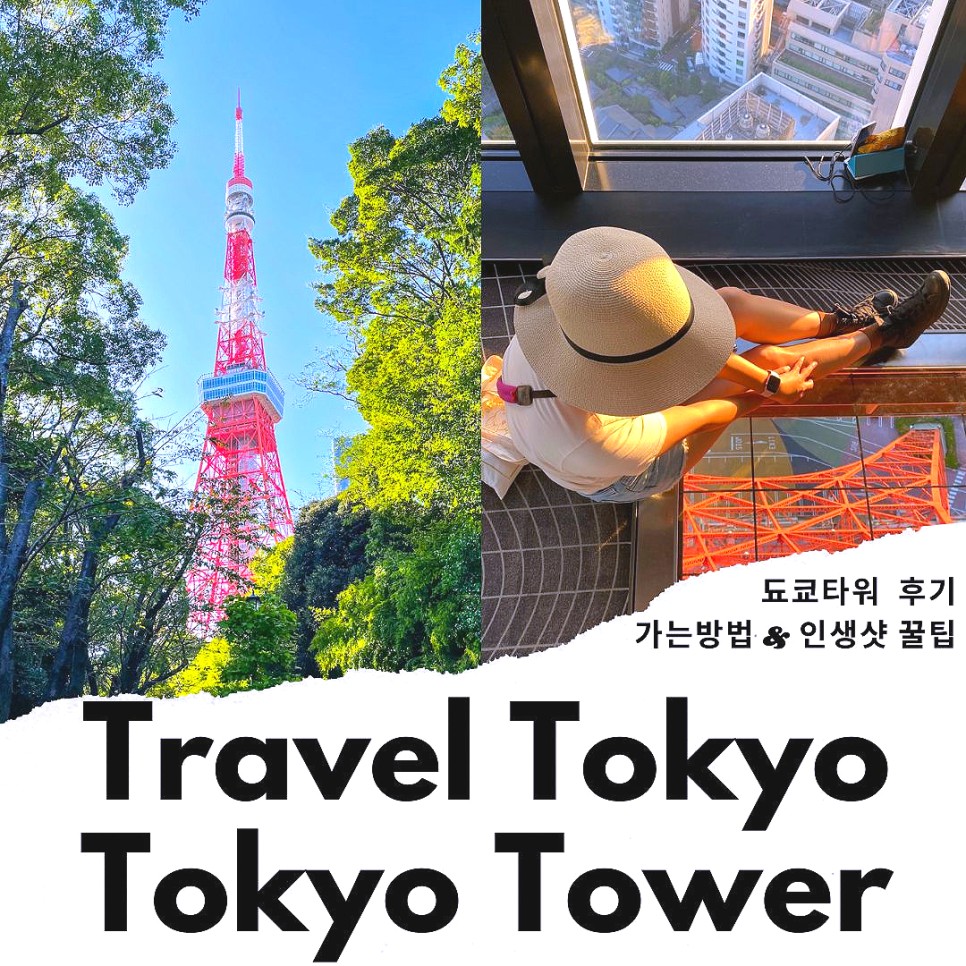 일본 여행 도쿄 가볼만한곳 도쿄타워 전망대 입장료 일몰 야경 TIP
