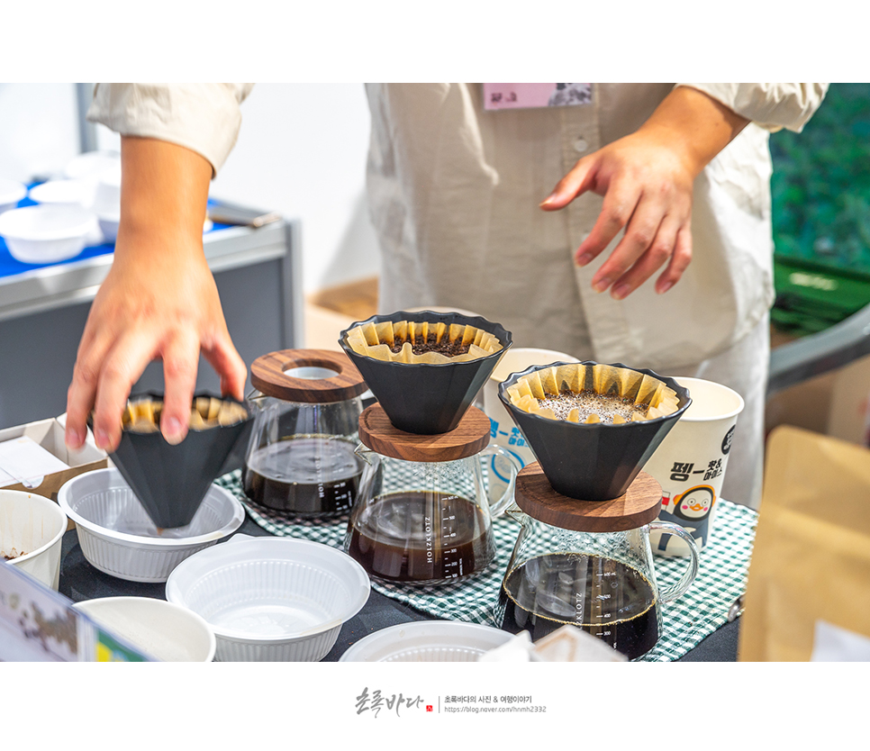 강릉 여행 코스 강릉 커피축제 가을 축제