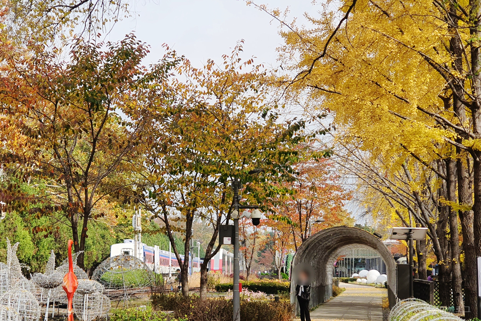 2023 단풍시기 미리 보는 가을 여행 서울 단풍 명소 4곳