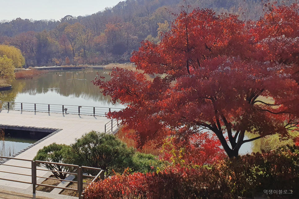 2023 단풍시기 미리 보는 가을 여행 서울 단풍 명소 4곳